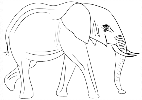 African Elephant Coloring Page